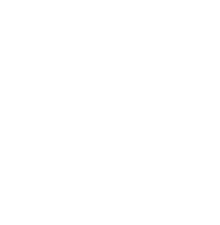 Solvetis